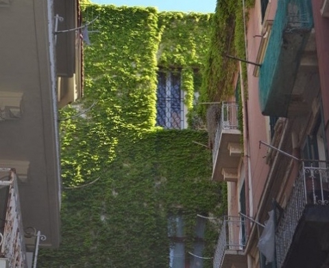 Nel rione Madonnella c'� il palazzo-giungla: unico caso a Bari